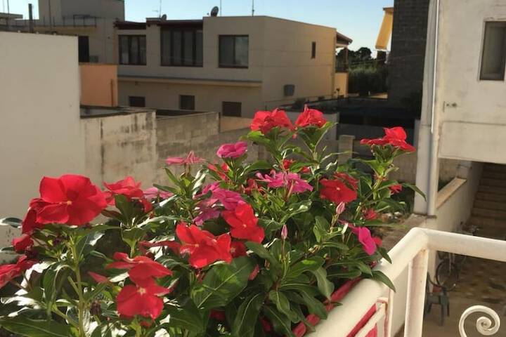 Terrace/Patio 5 of 15