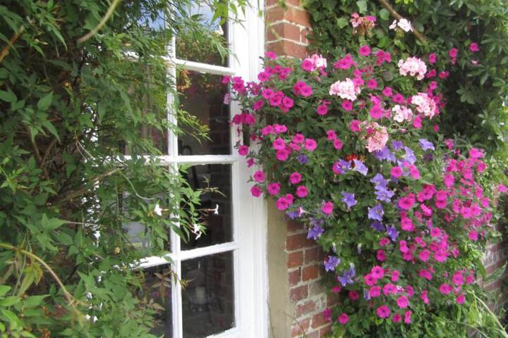 Spa and Wellness Pictures