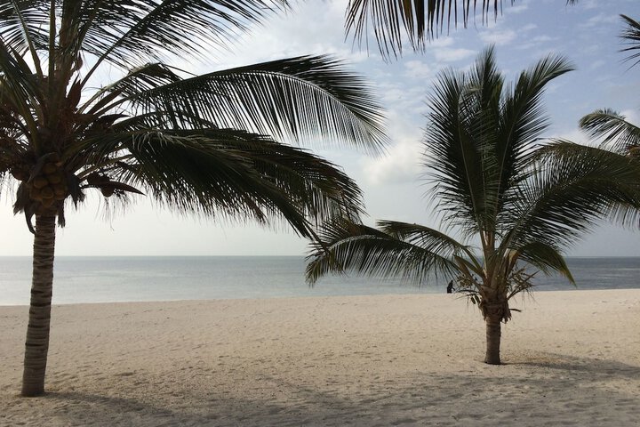 Beach 89 of 138