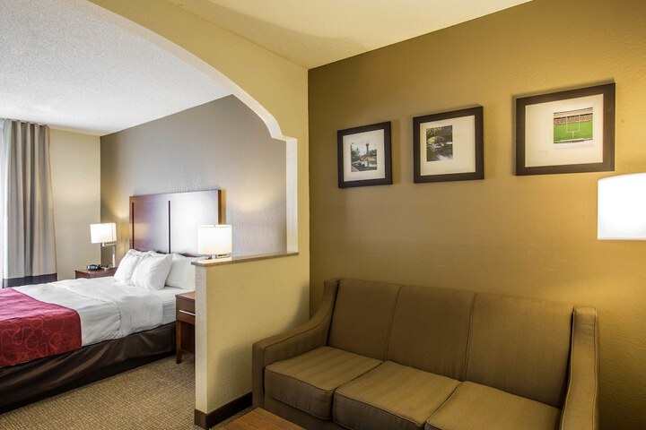 1 King Bed Suite (7 of 18)