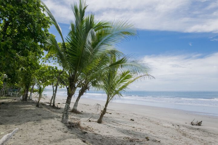 Beach 36 of 56