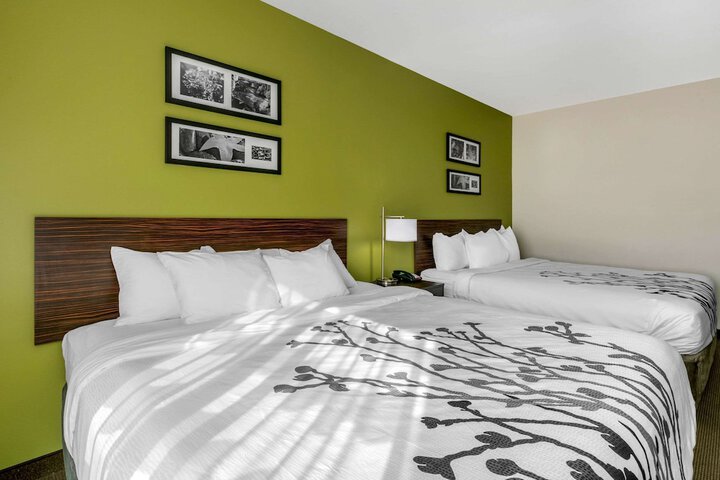 1 King Bed (6 of 20)