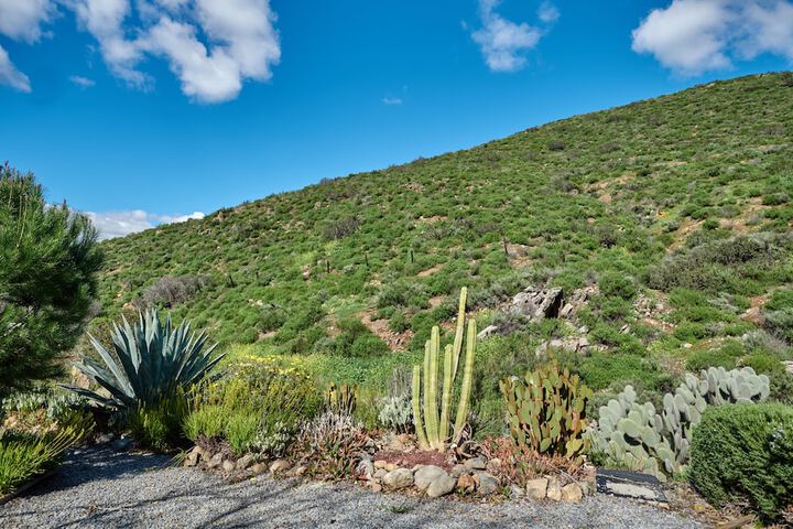 Property Grounds 37 of 47