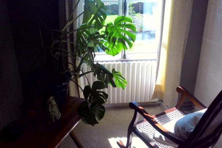 Photo 5