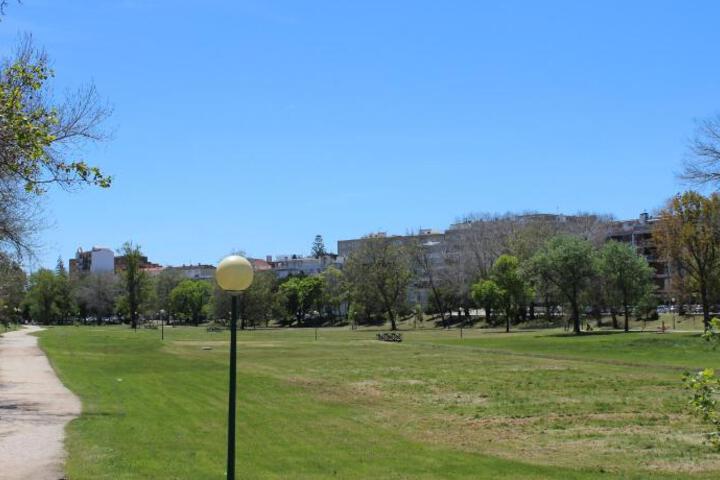 General 7 of 26