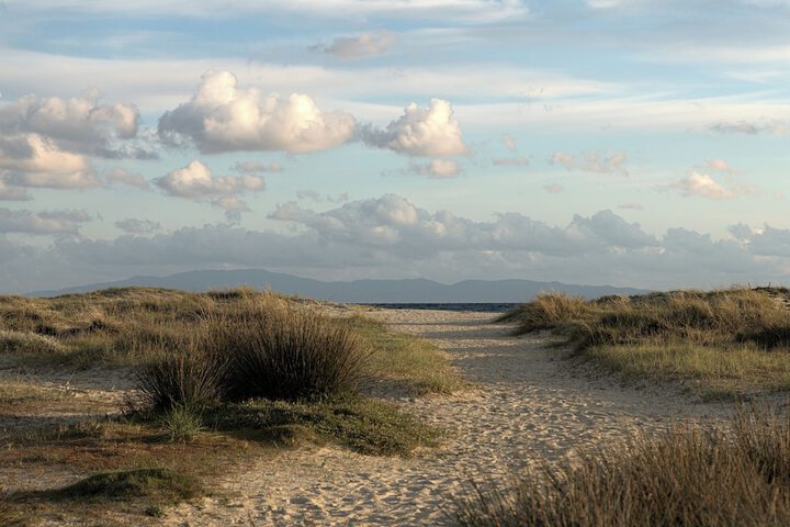 Beach 167 of 252