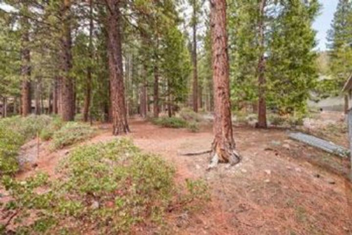 Property Grounds 13 of 13