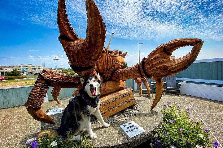 The Canterbury Inn in Ocean Shores, WA