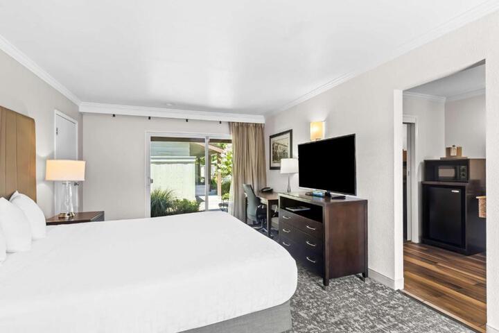 1 King Bed Larger Room, Microwave, Refrigerator High Speed Internet Accessible (14 of 18)