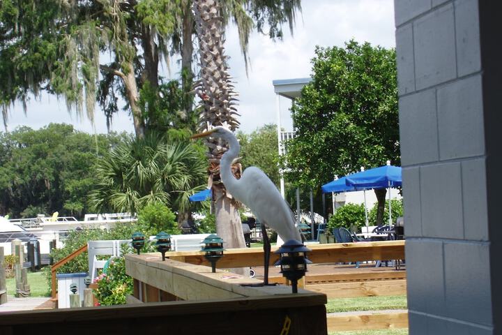 Property Grounds 177 of 207