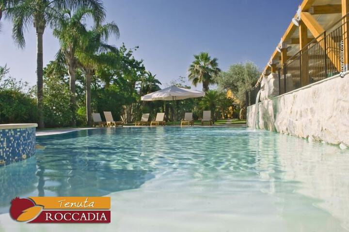 Hotel with Pool