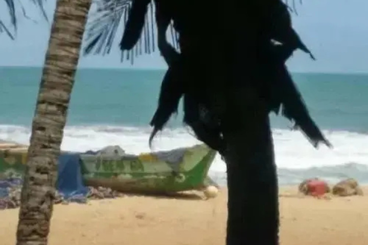 Beach 3 of 11