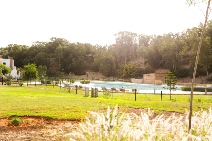 Pool 19 of 41