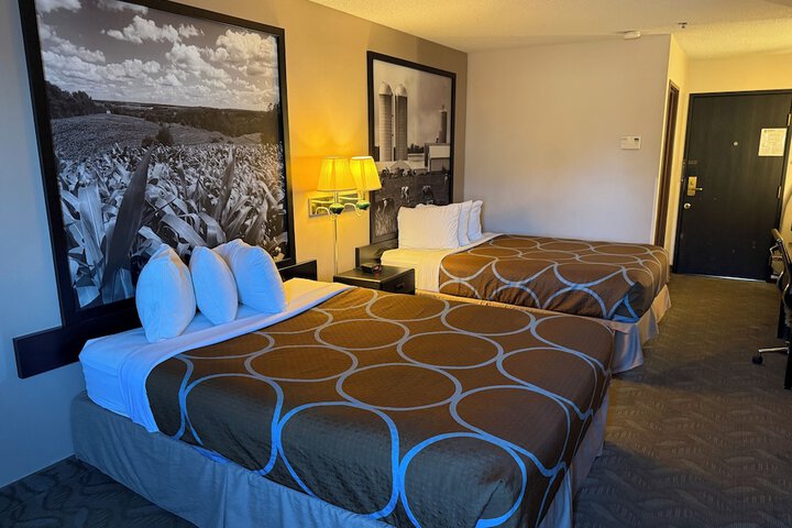Room 4 of 24
