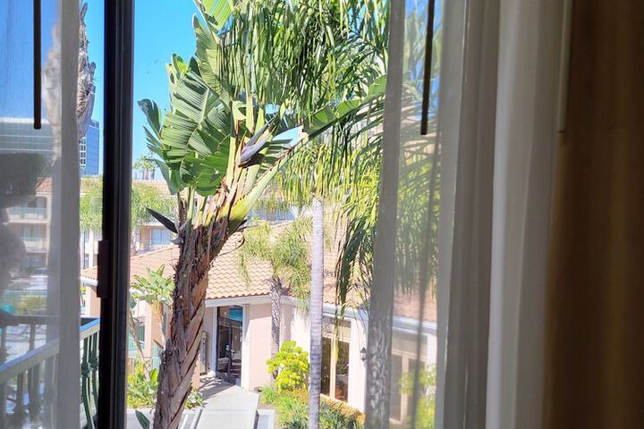 View from room