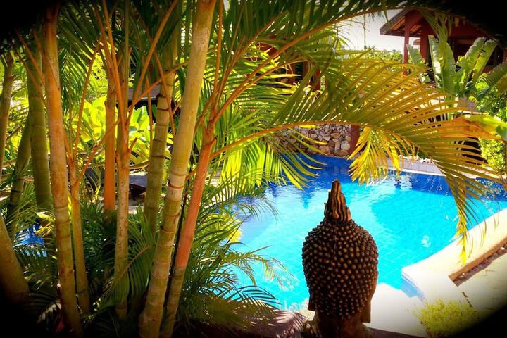 Pool to Cool