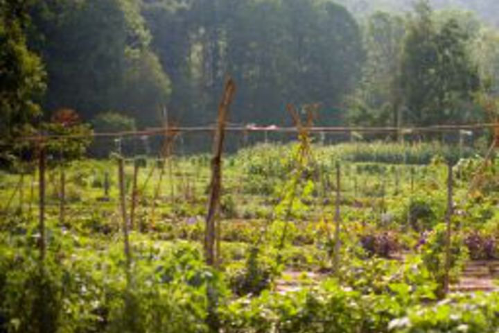 Image of Blackberry Farm