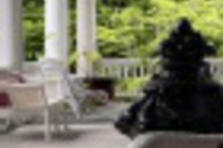 Terrace/Patio 15 of 384