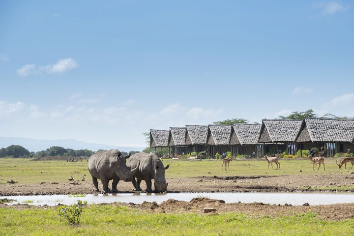 Property Grounds 36 of 42