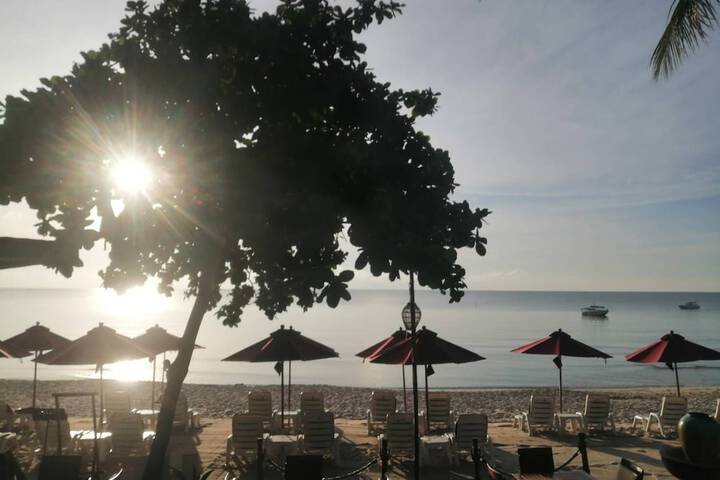 Beach 66 of 81