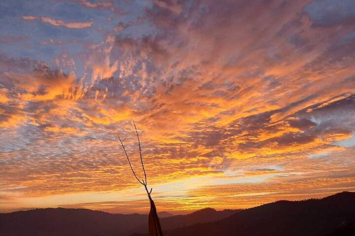 Hotel 60 of 68