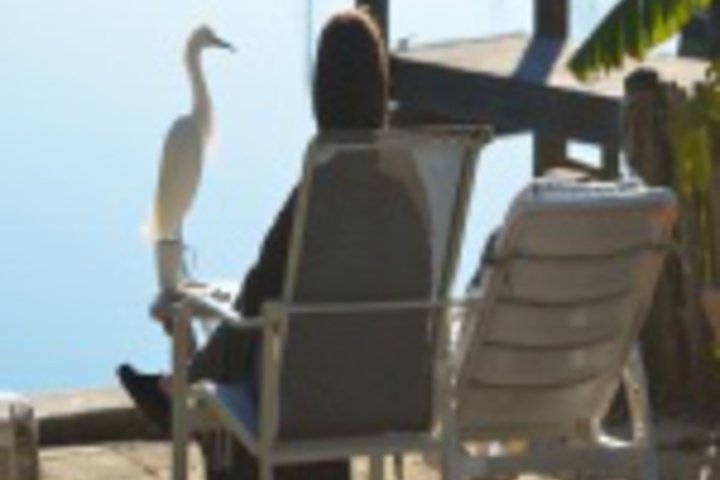 Property Grounds 37 of 576