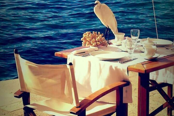 Dining 100 of 118