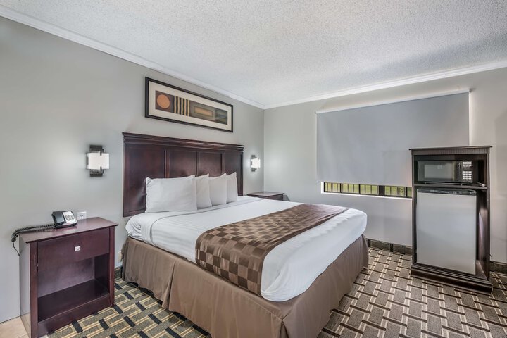 1 King Bed (5 of 9)