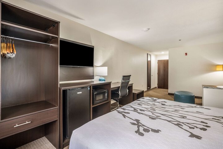 Suite Queen Bed (3 of 14)