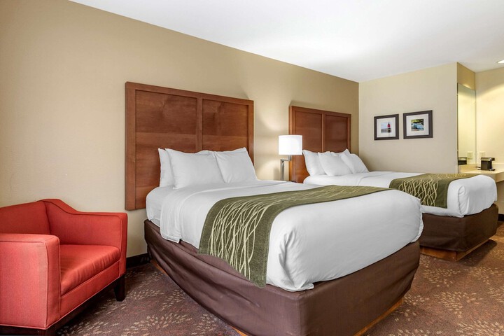 Standard Room, King or Two Doubles (3 of 5)