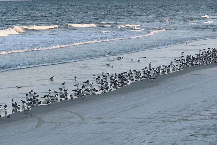 Beach 58 of 79