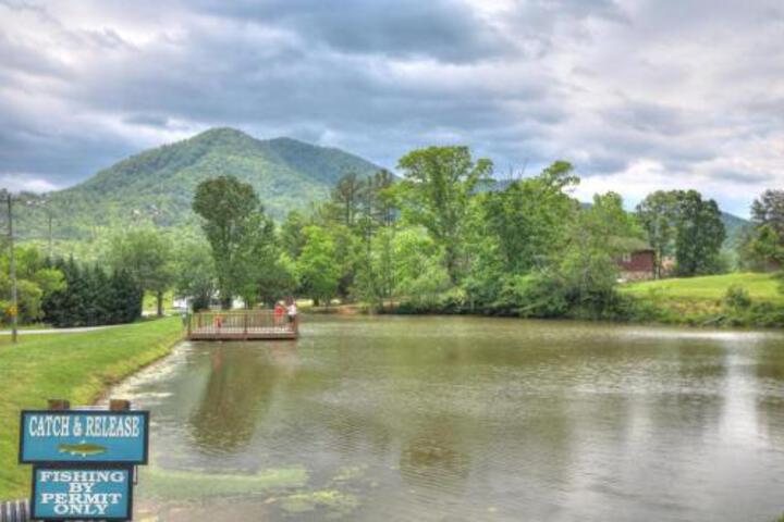 Run To The Hills Cabin in Sevierville, TN