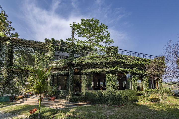 The Riverwood Forest Retreat - Dooars