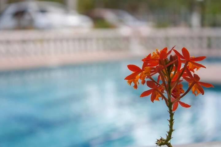 Pool 23 of 52