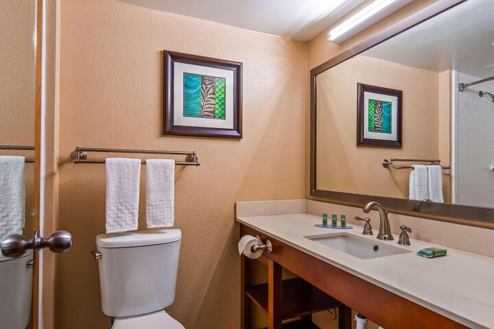1 King Accessible Comms Assist Bathtub Microwave, Refrigerator Sofa Bed Full Breakfast (6 of 19)