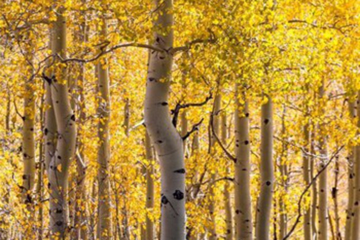 Property Grounds 29 of 36