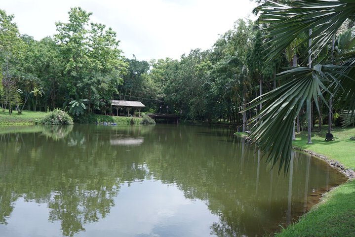 Property Grounds 20 of 25