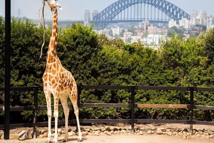 Property Grounds 5 of 12