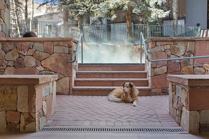 Pet Friendly 26 of 32