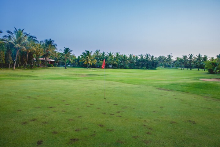 Golf 58 of 95