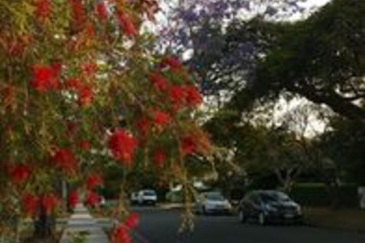 Property Grounds 24 of 25