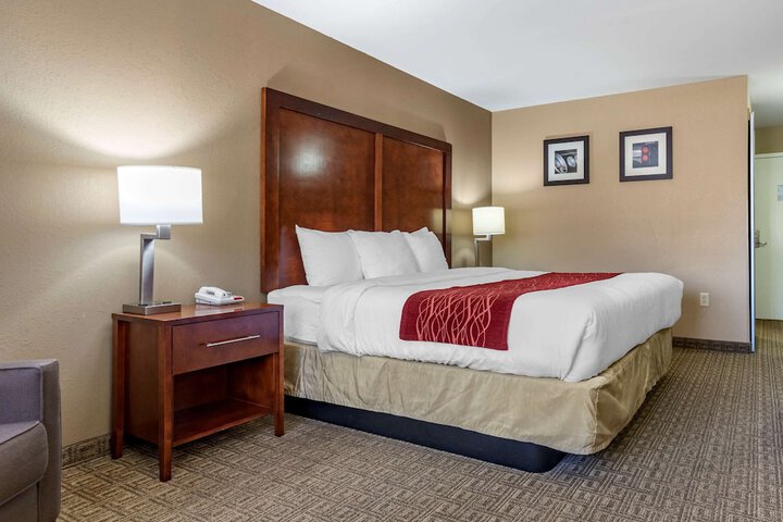1 King Bed Accessible (5 of 11)