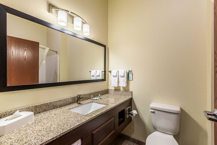 Mobility Accessible King Guestroom with Tub and Grab Bars (7 of 7)