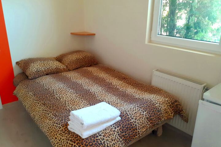 Room 6 of 31