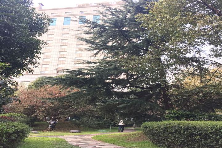 Hotel Exterior 3 of 12