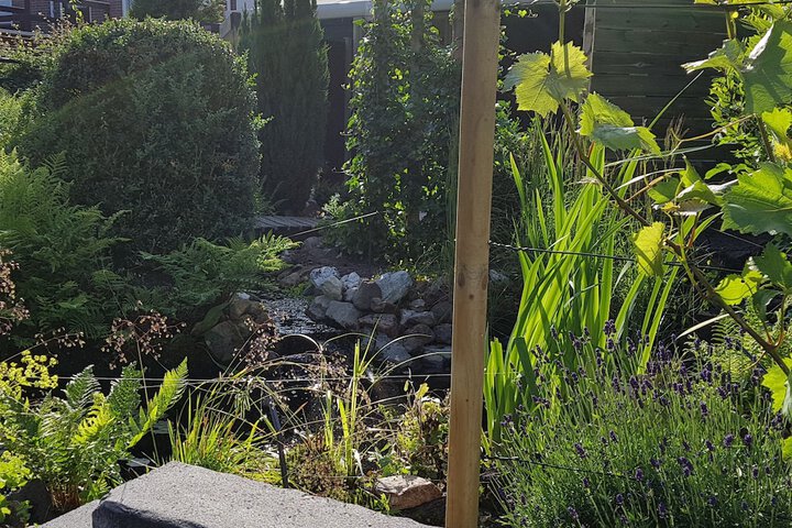 Terrace/Patio 22 of 40