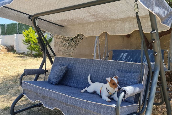 Pet Friendly 37 of 55