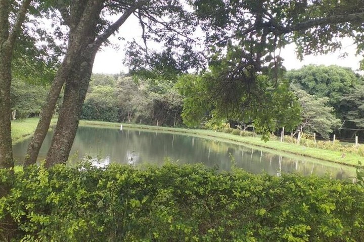 Property Grounds 37 of 67