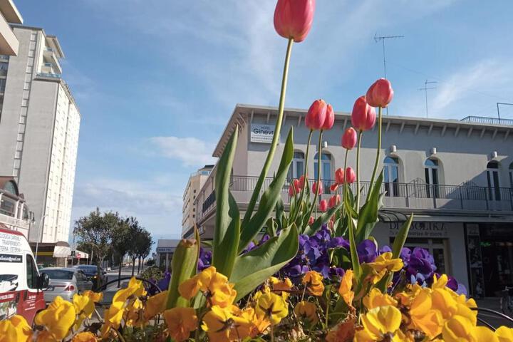 Hotel Ginevra