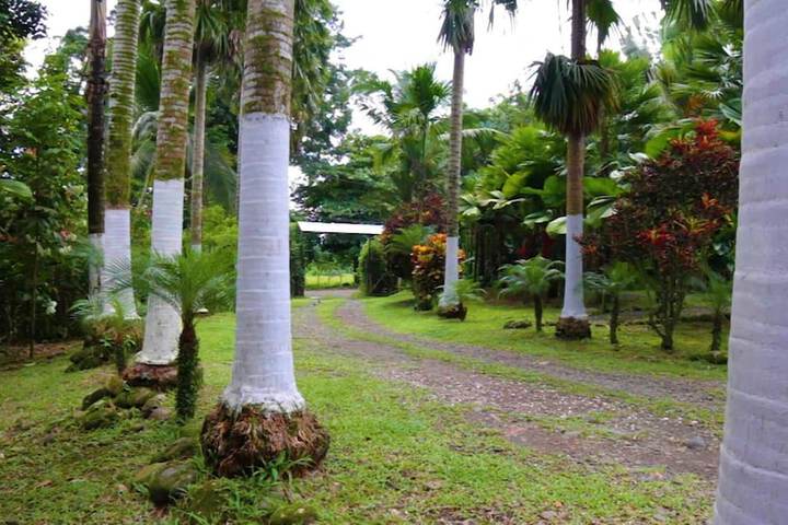 Property Grounds 35 of 40